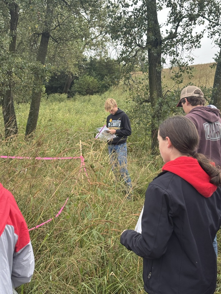 Students competing. 