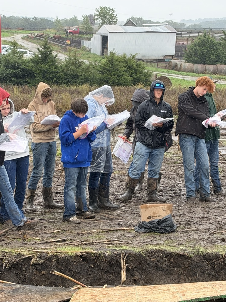 Students evaluating in the rain. 