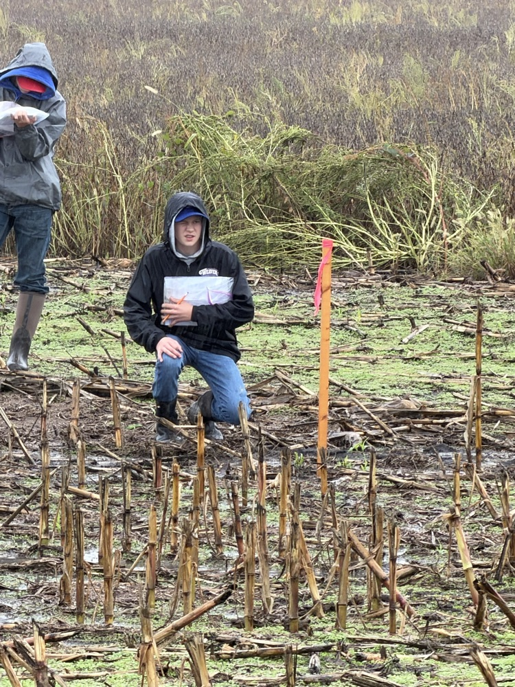 Dayton competing.