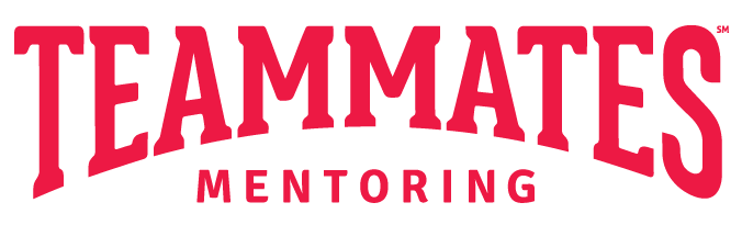 teammates mentoring