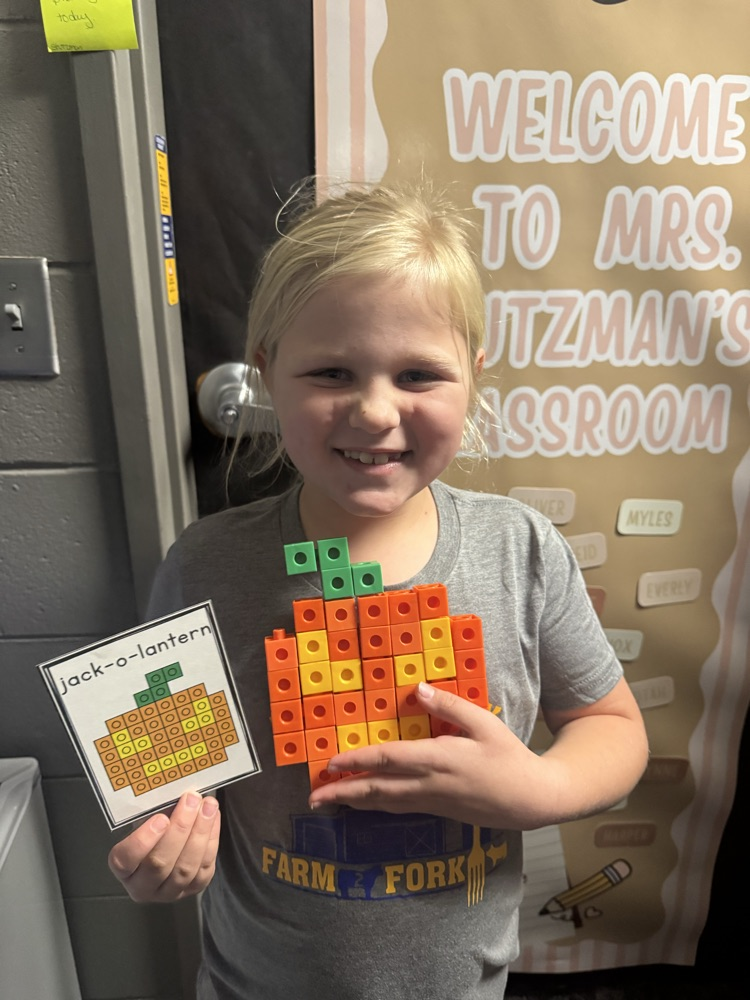 STEM bins