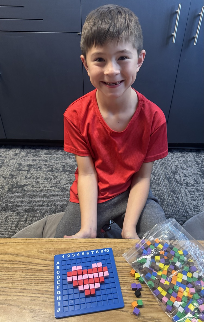 STEM bins