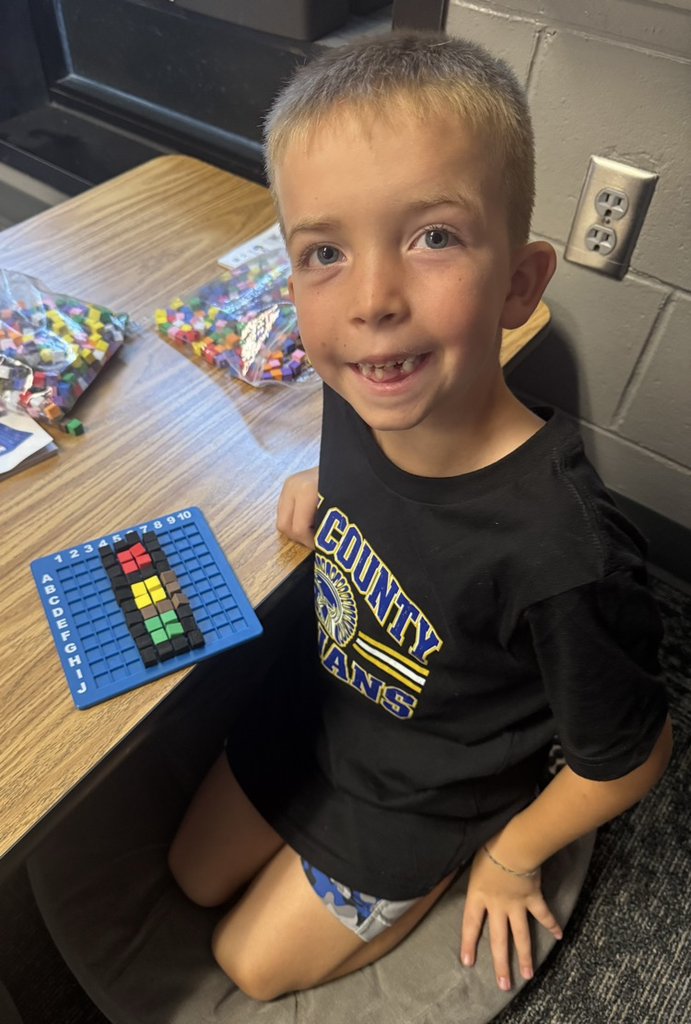 STEM bins
