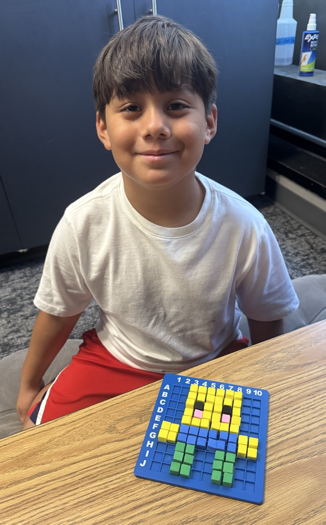 STEM bins