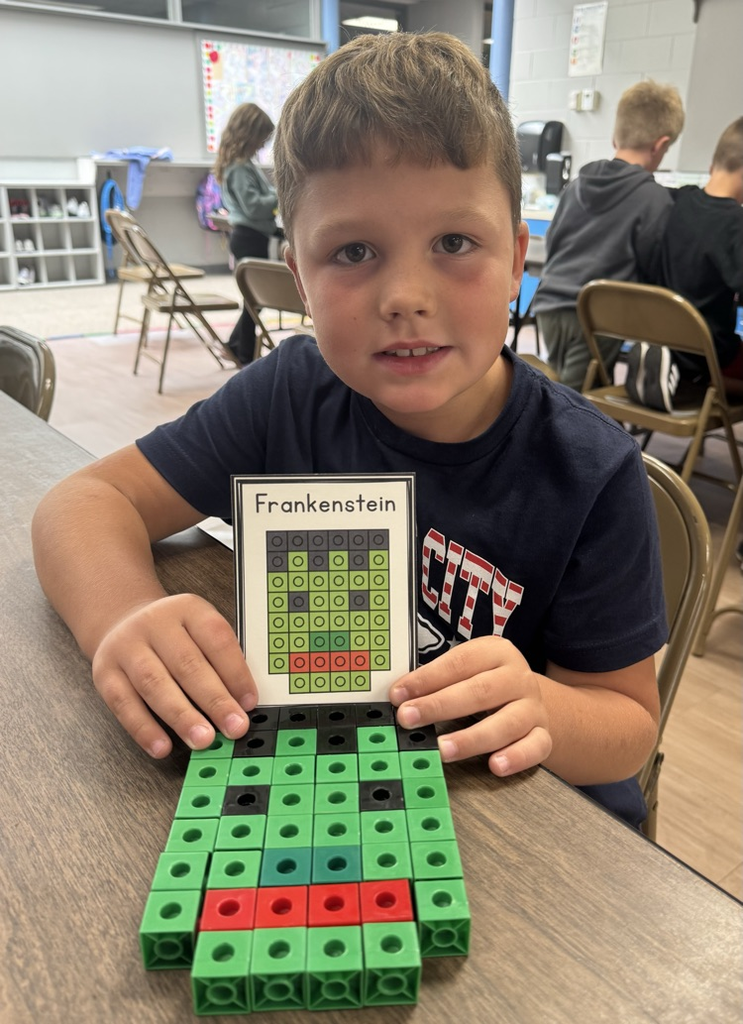 STEM bins