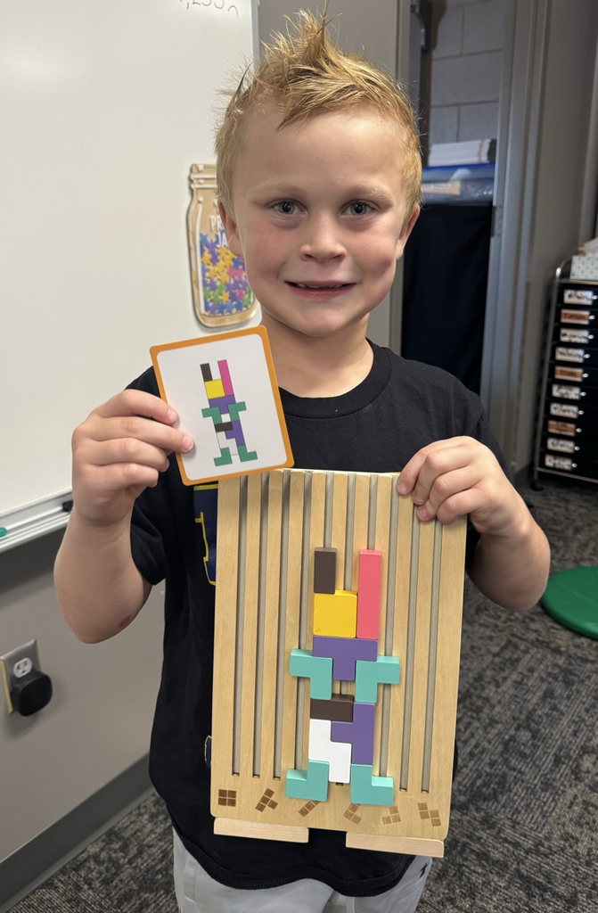 STEM bins