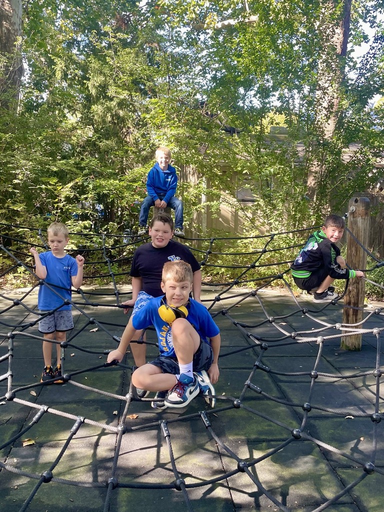 Spider Web