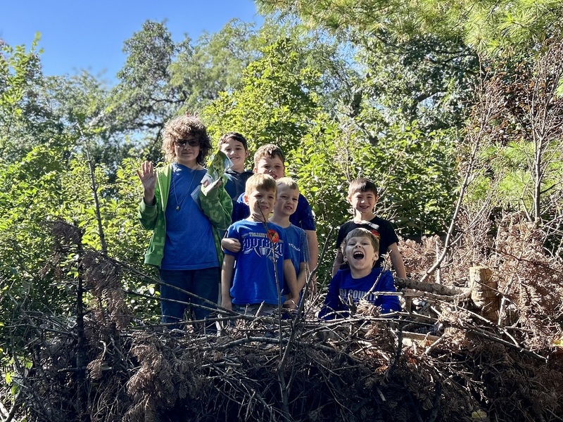 Bald Eagles Nest