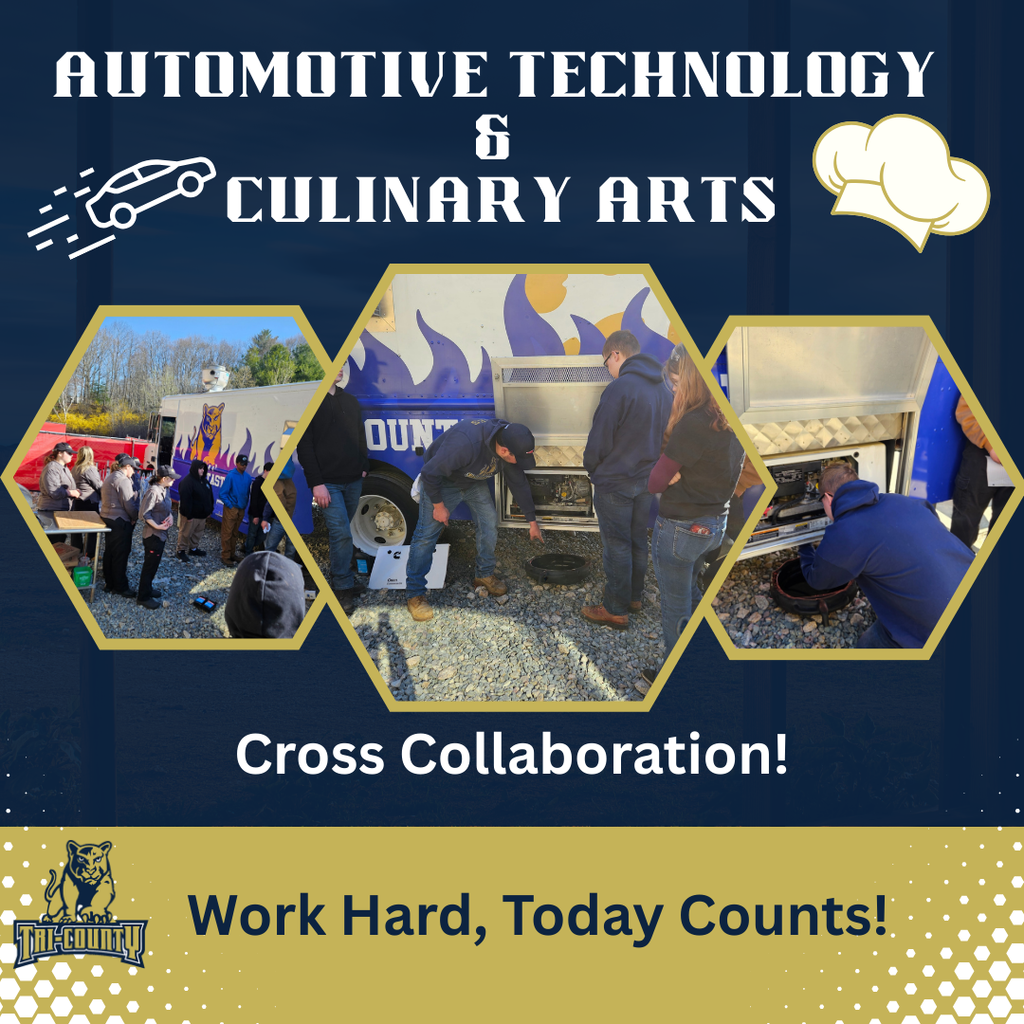 Cross Collaboration