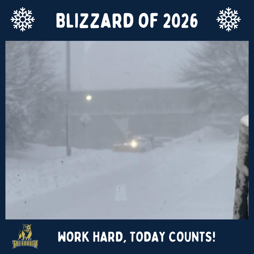 Blizzard