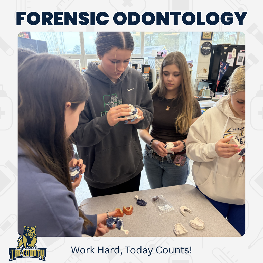 Forensic Odontology