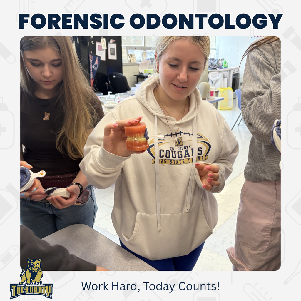 Forensic Odontology