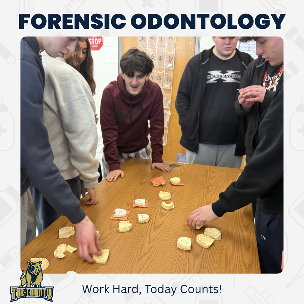 Forensic Odontology
