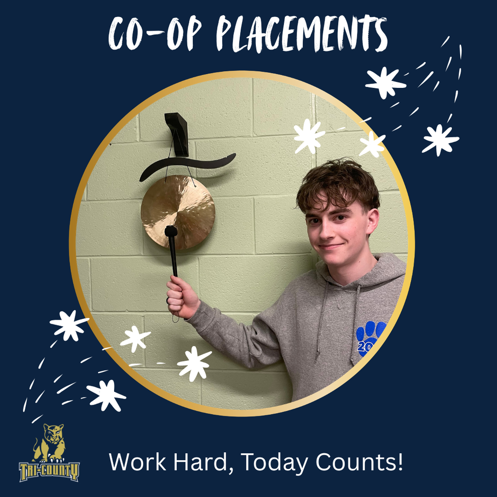 Co-Op Placement Students