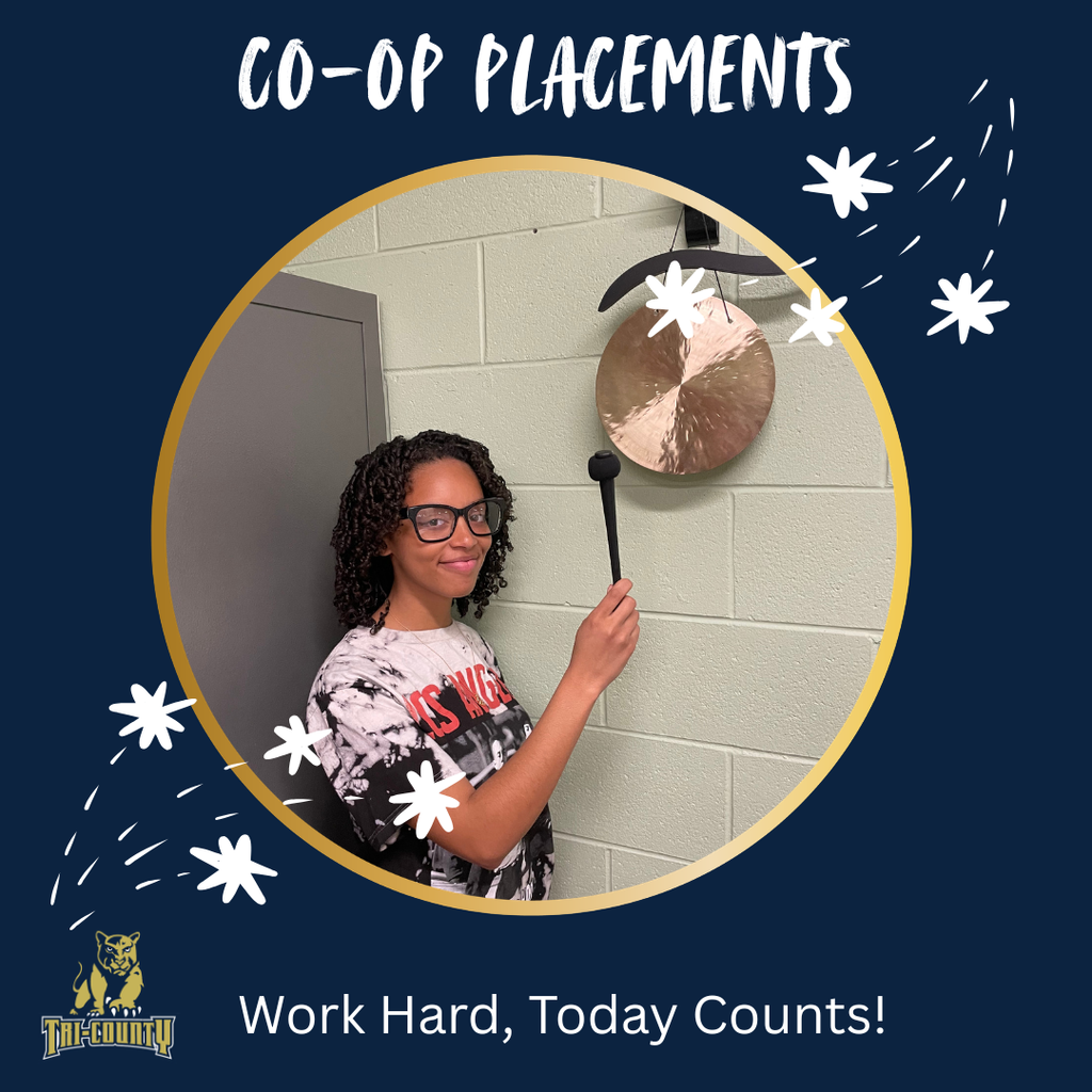 Co-Op Placement Students