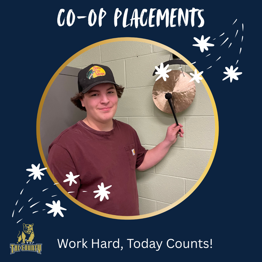 Co-Op Placement Students