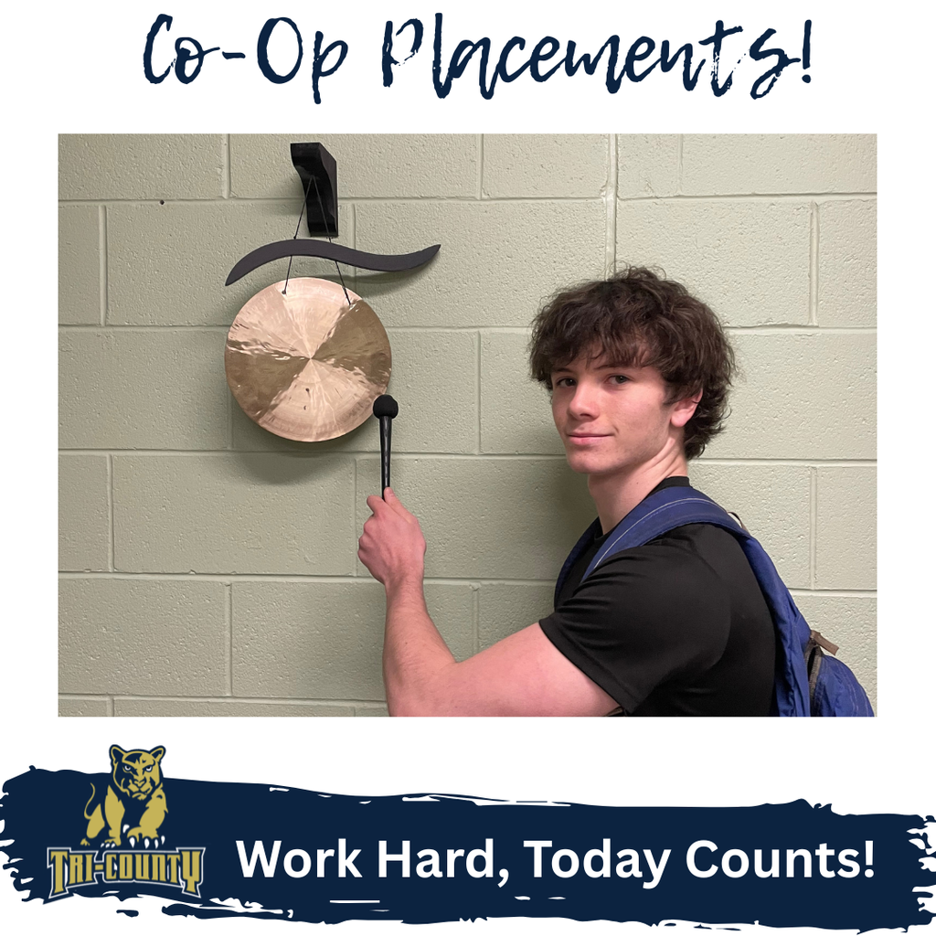Co-Op Placements