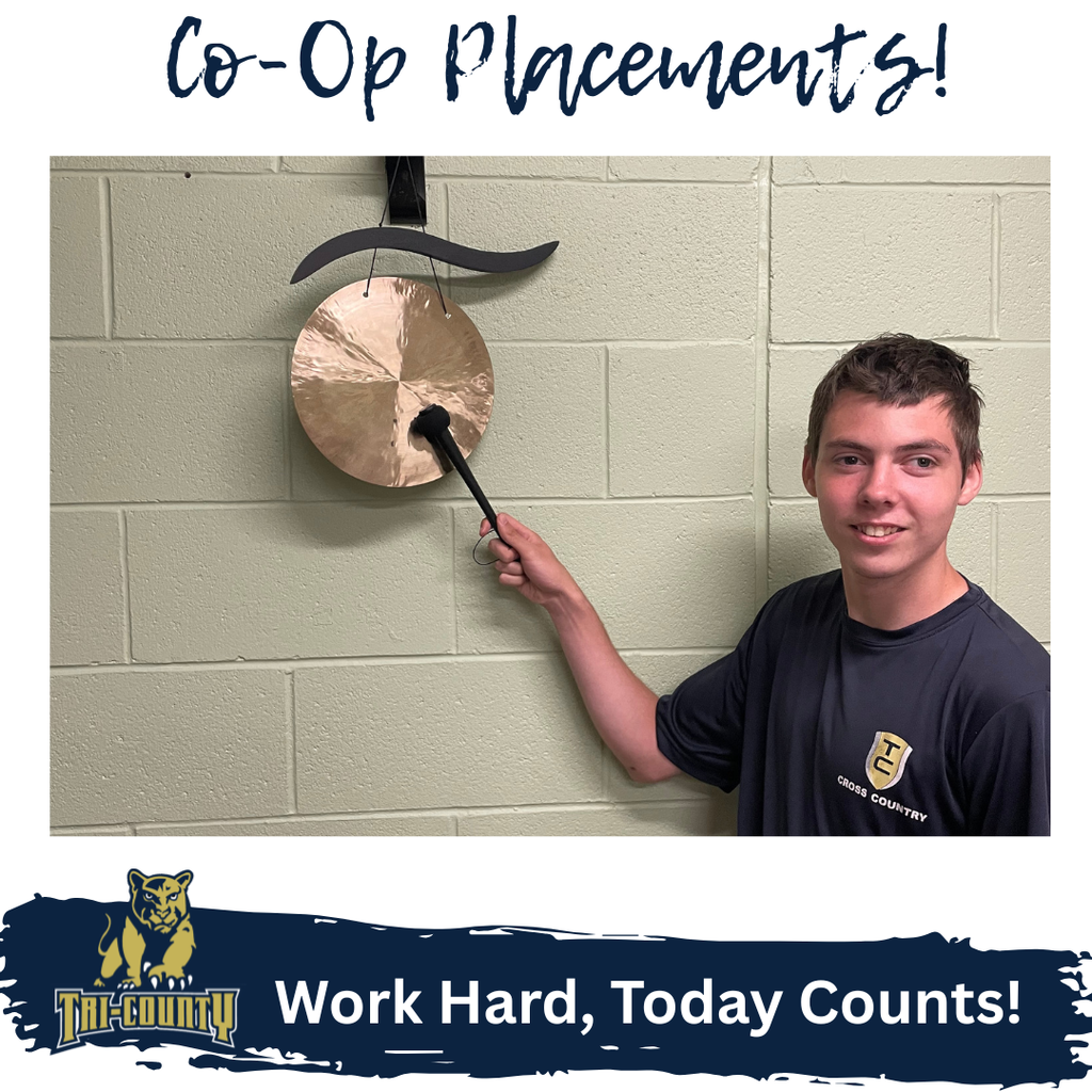 Co-Op Placements