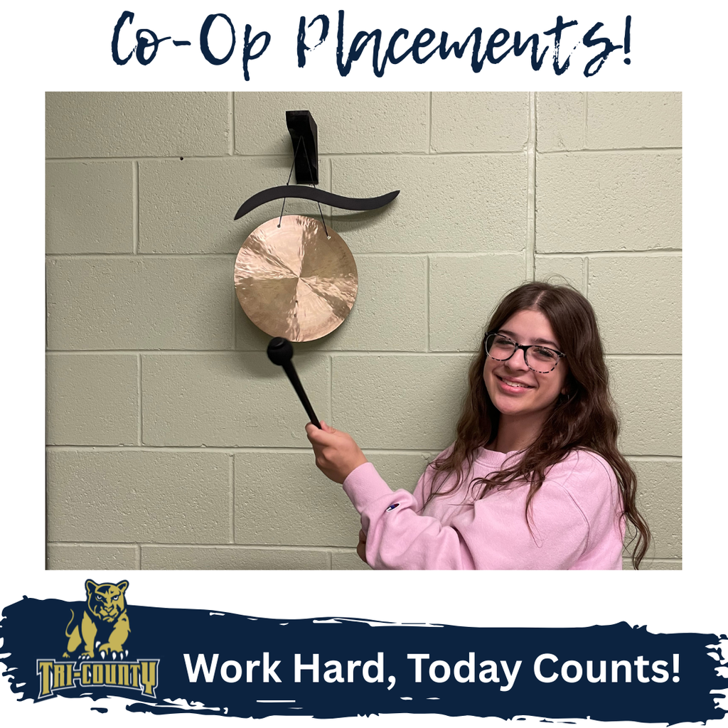 Co-Op Placements