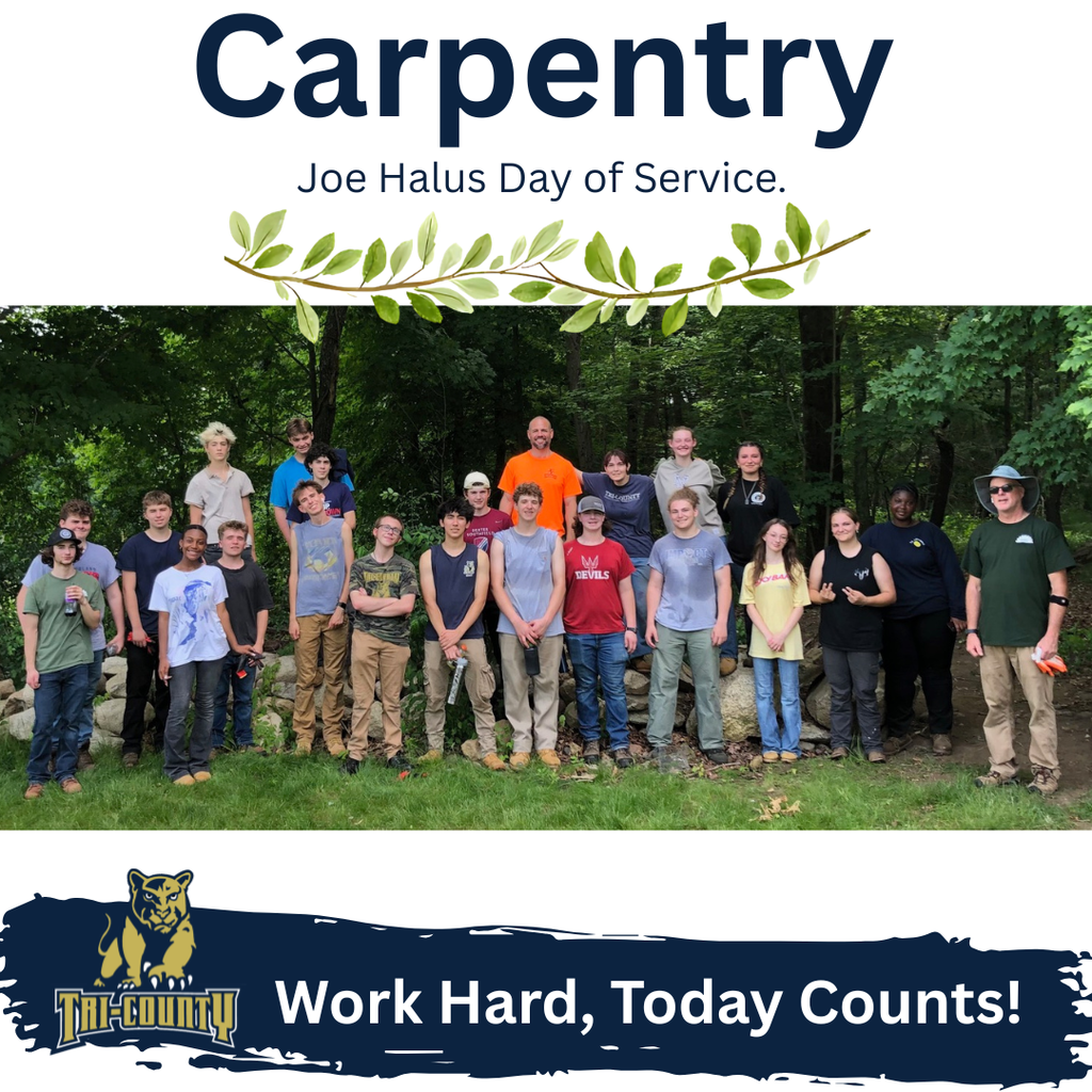 Carpentry volunteering in Medway
