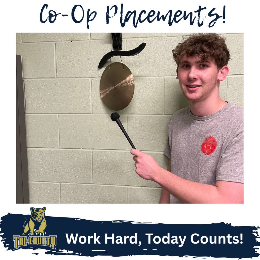Co-Op Placements