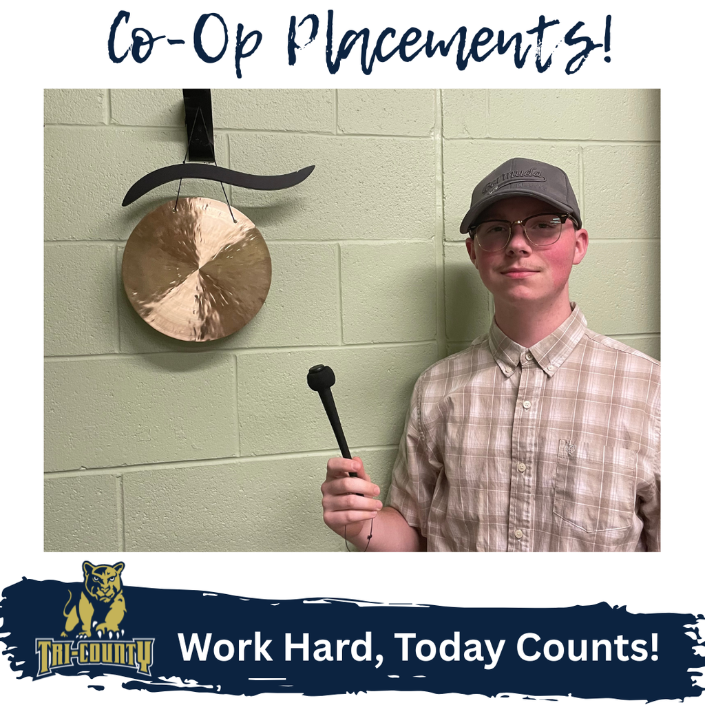 Co-Op Placements