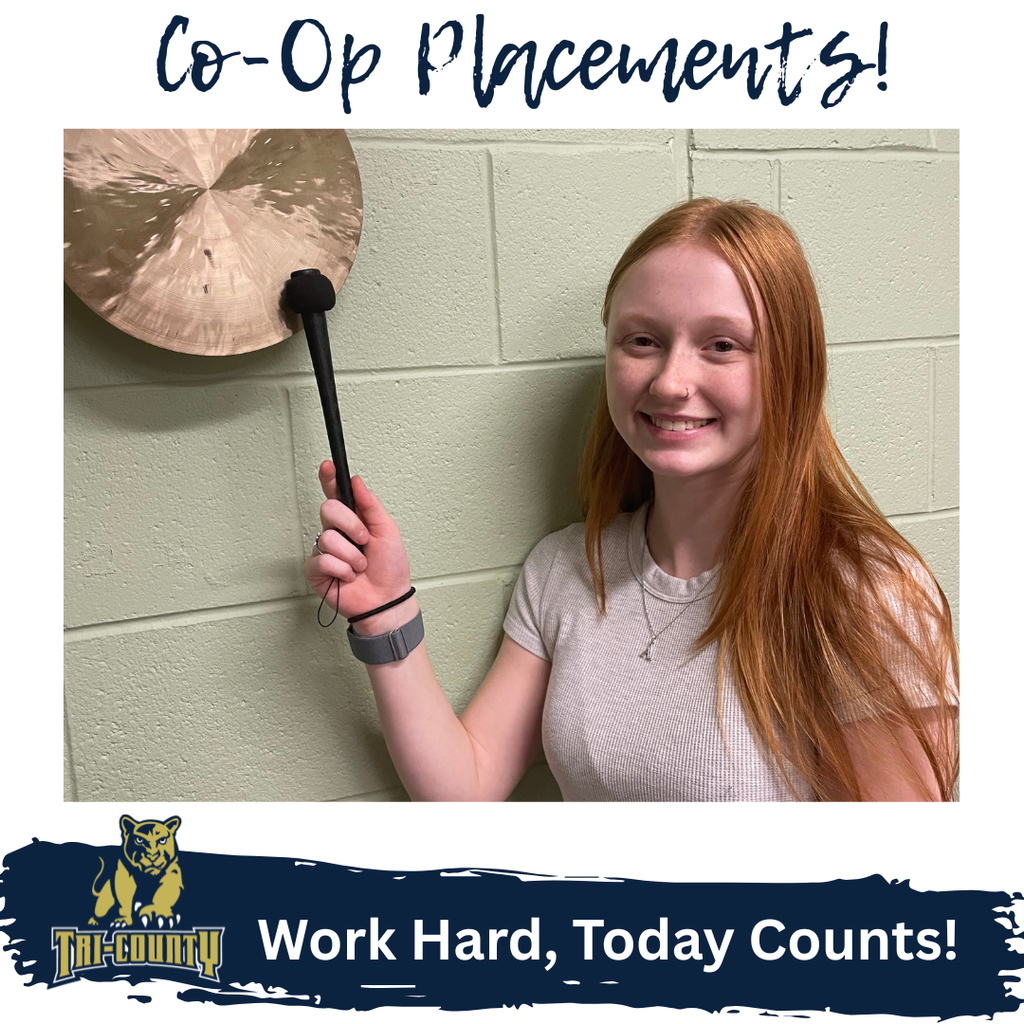 Co-Op Placements