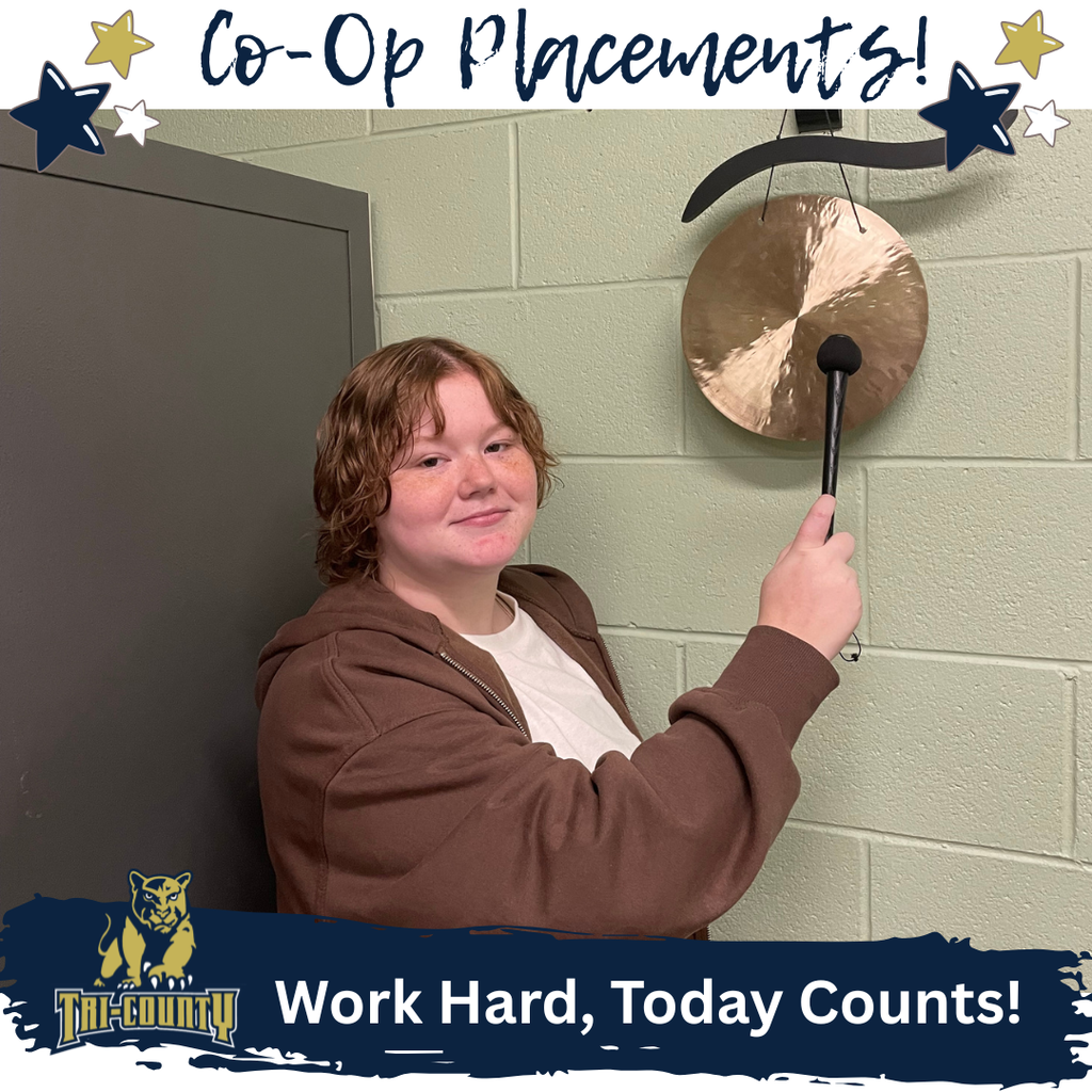 Graphics Co-Op Placements 2026-27