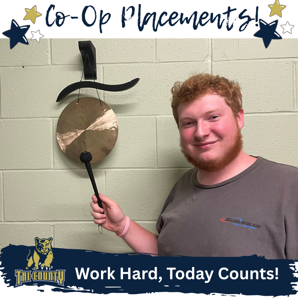 Co-Op Placement Student