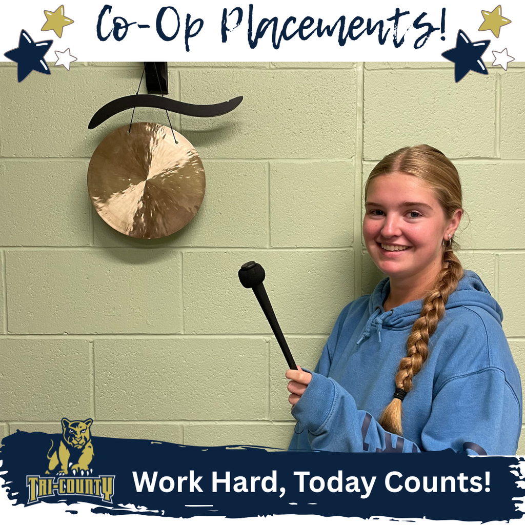 Co-Op Placement Student