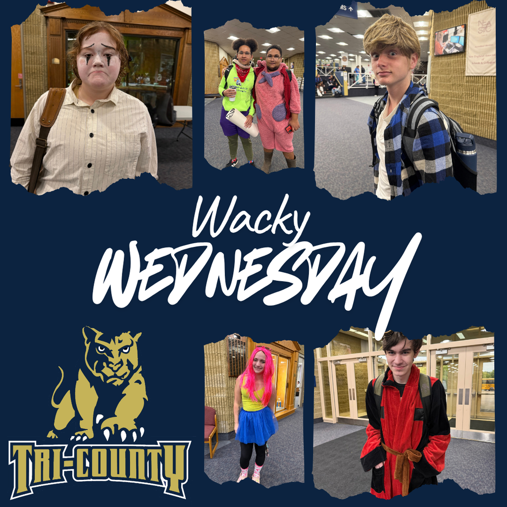 Wacky Wednesday Photos