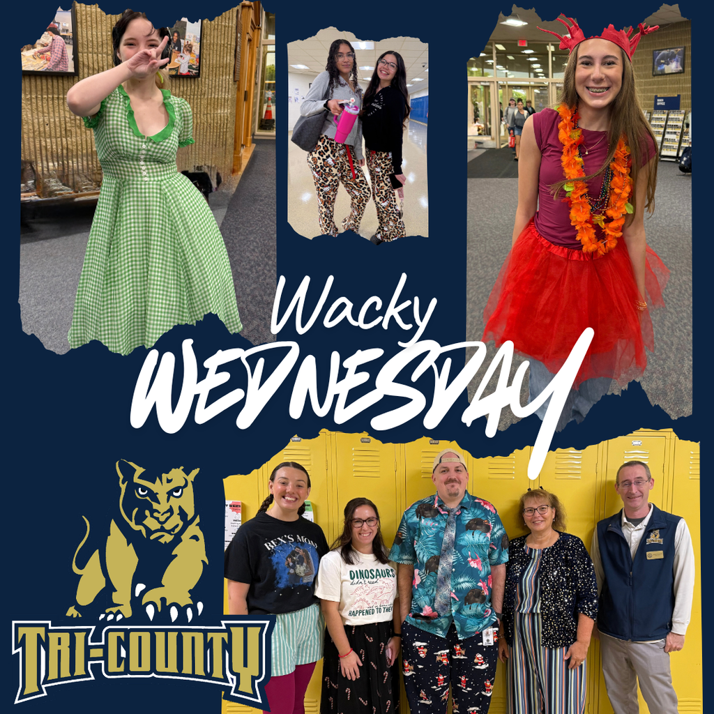 Wacky Wednesday Photos