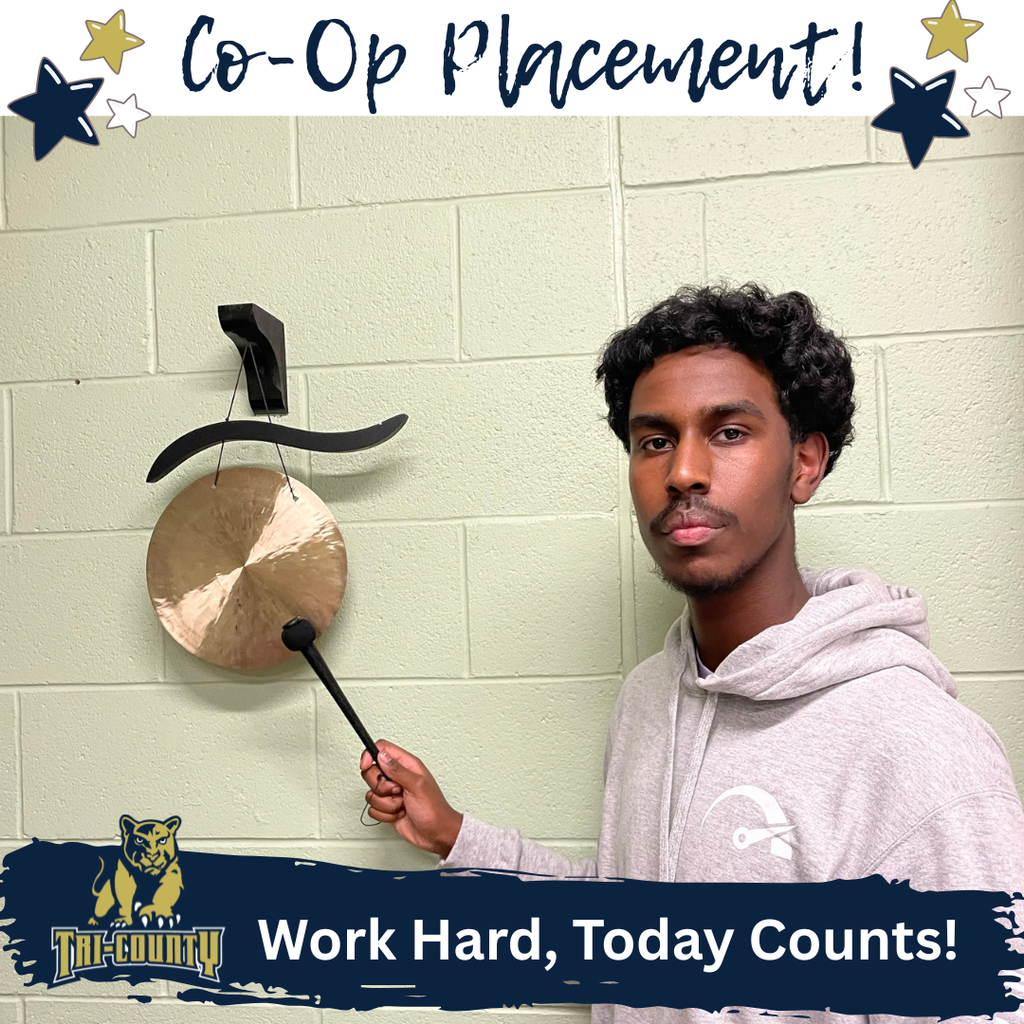 Co-op Placement Student