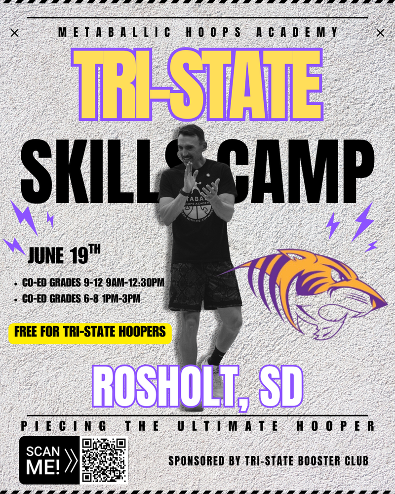 Metaballic Hoops Skills Camp