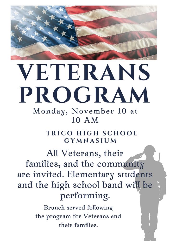 Veteran's Day Program