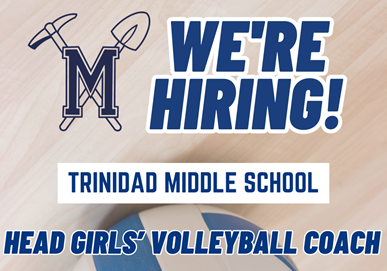 Hiring TMS VB Coach