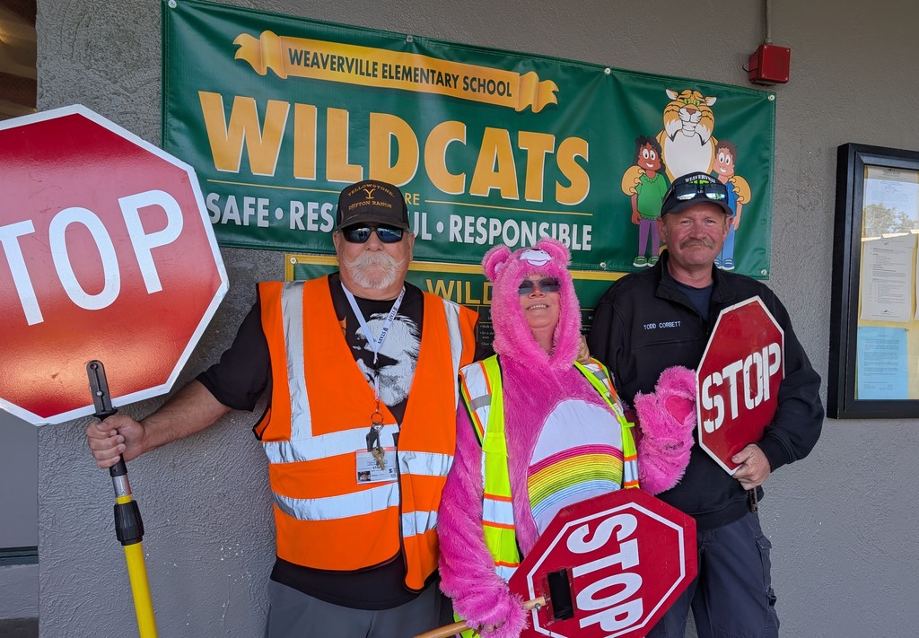 image of crossing guards