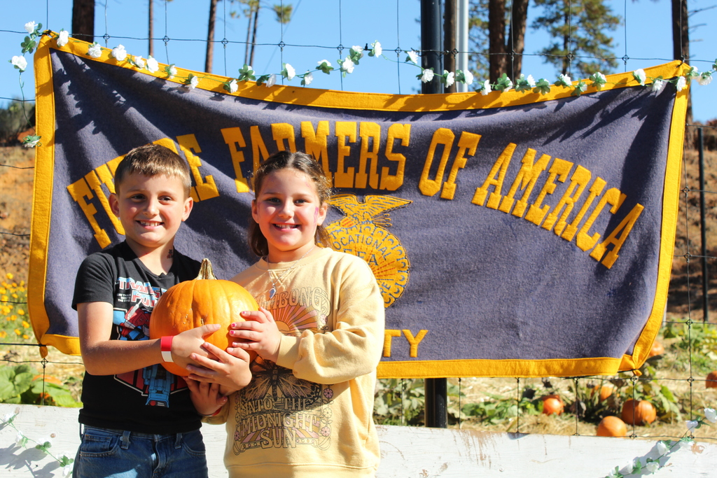 image of kids at harvest festival
