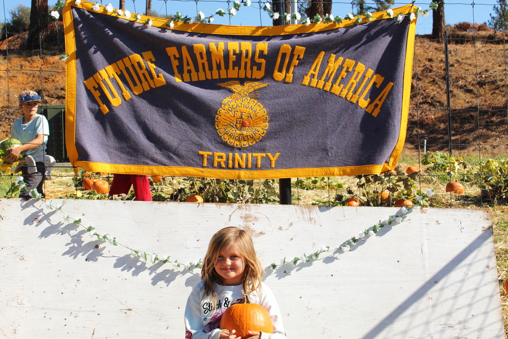 image of kids at harvest festival