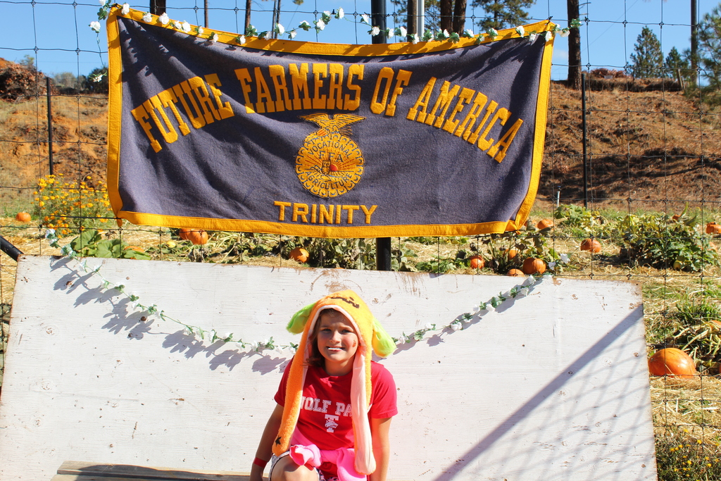 image of kids at harvest festival