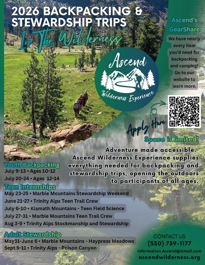 iamge about backpacking internships