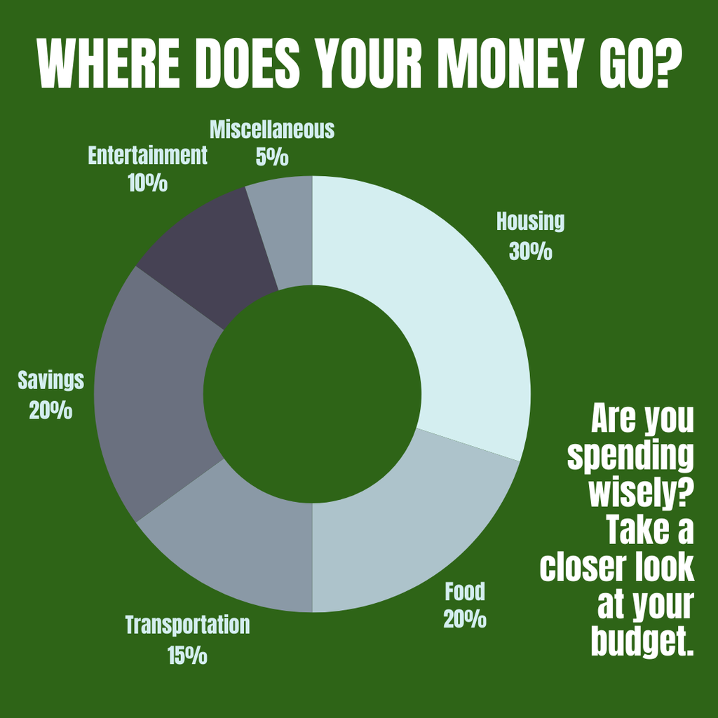 Where does your money go? Entertainment 10%, Miscellaneous 5%, Housing 30%, Food 20%, Transportation 15%, Savings 20%. Are you spending wisely? Take a closer look at your budget. 