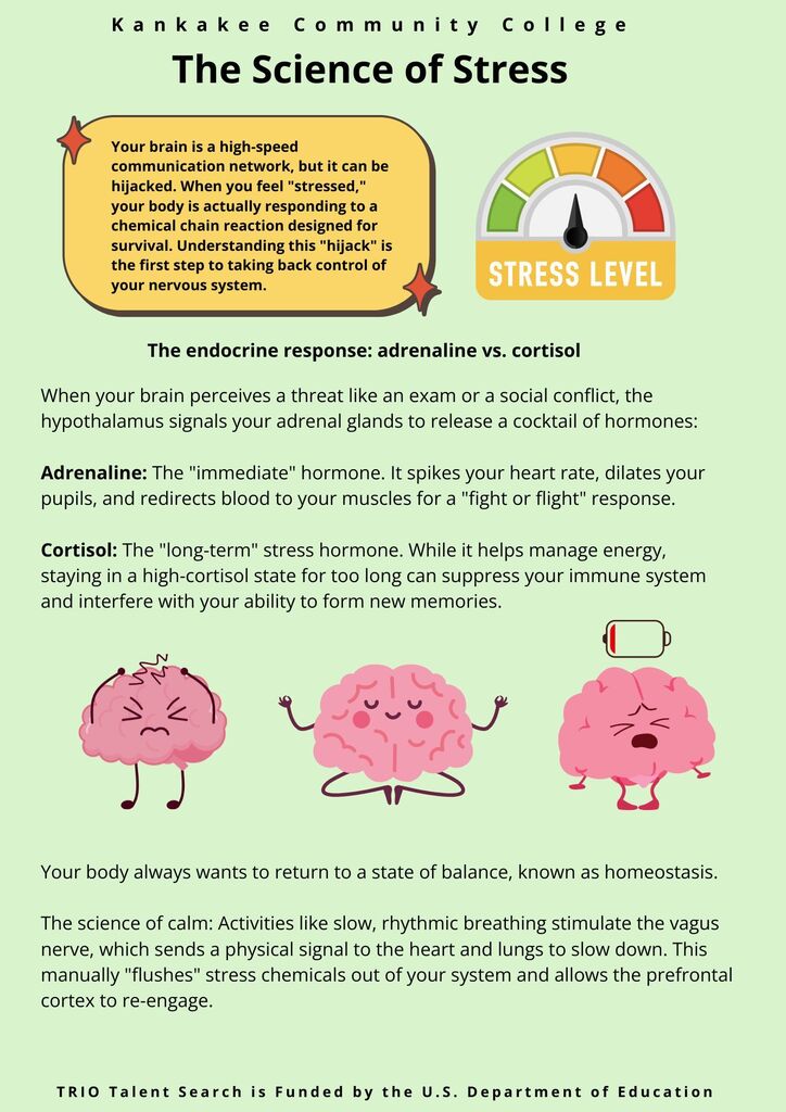 Science of Stress Post 