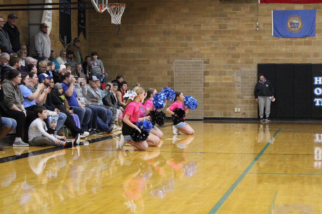 Little Nighthawk Cheer