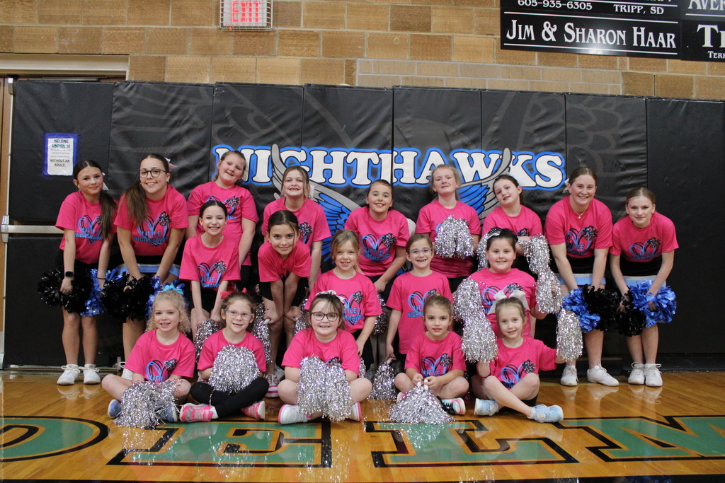 Little Nighthawk Cheer