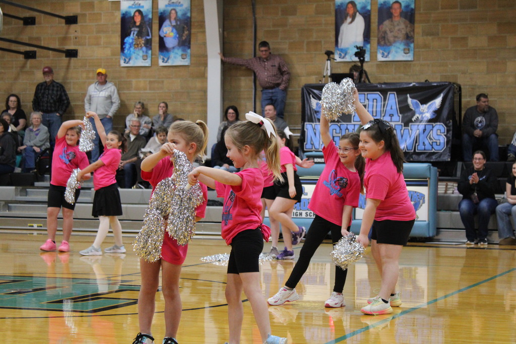 Little Nighthawk Cheer