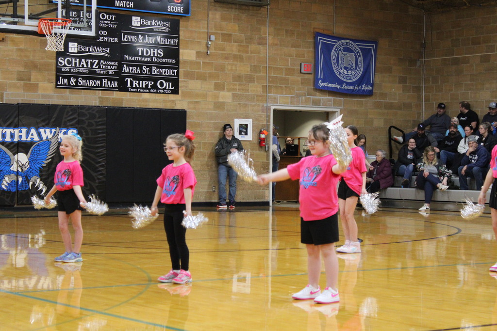 Little Nighthawk Cheer