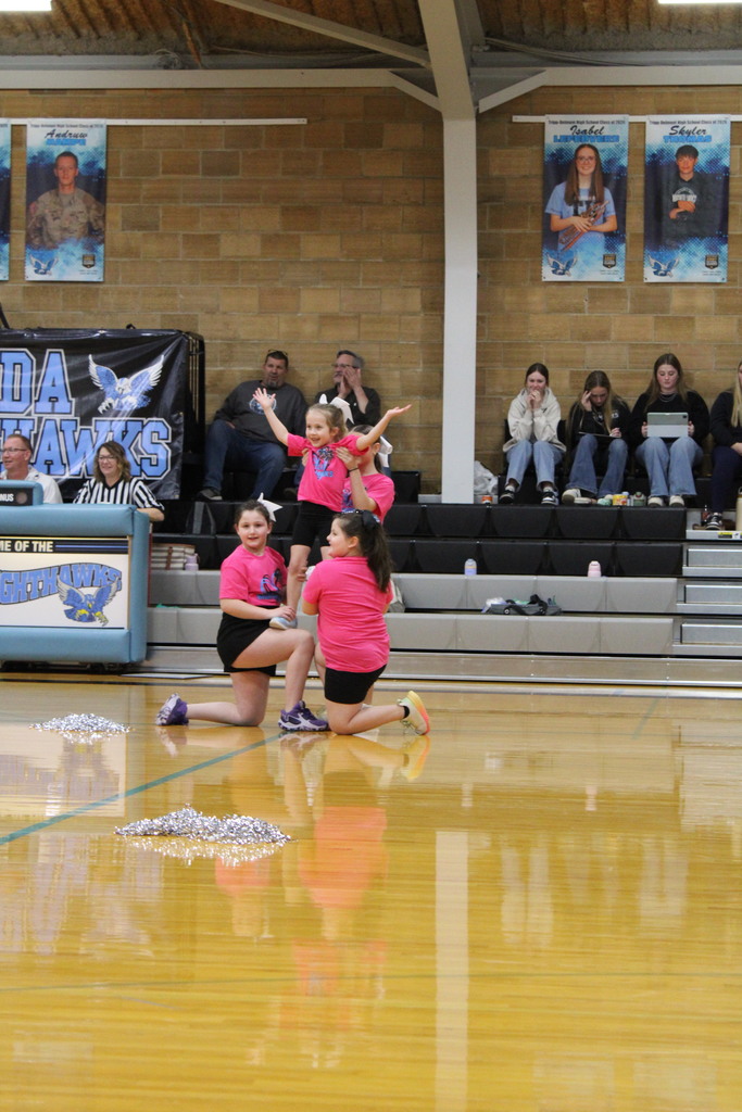 Little Nighthawk Cheer