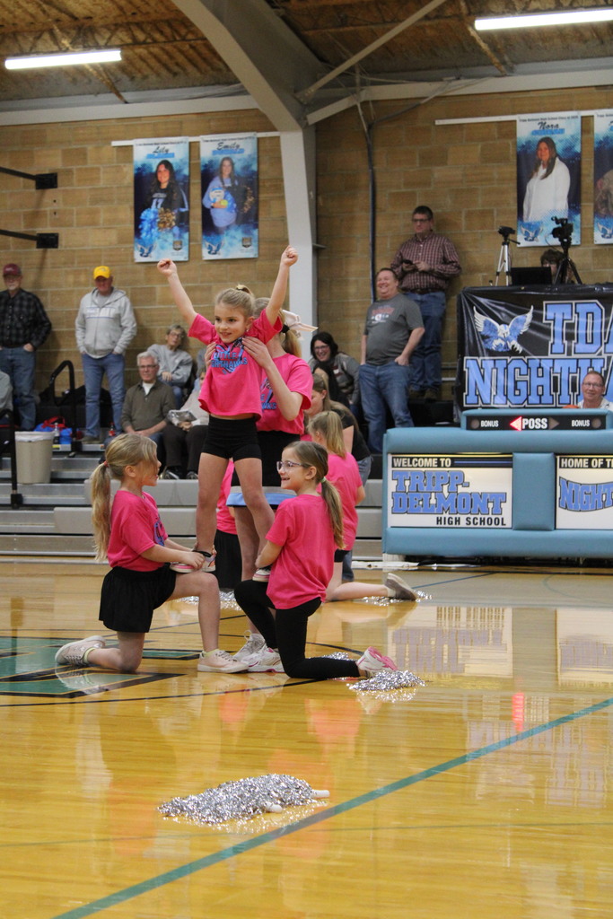 Little Nighthawk Cheer