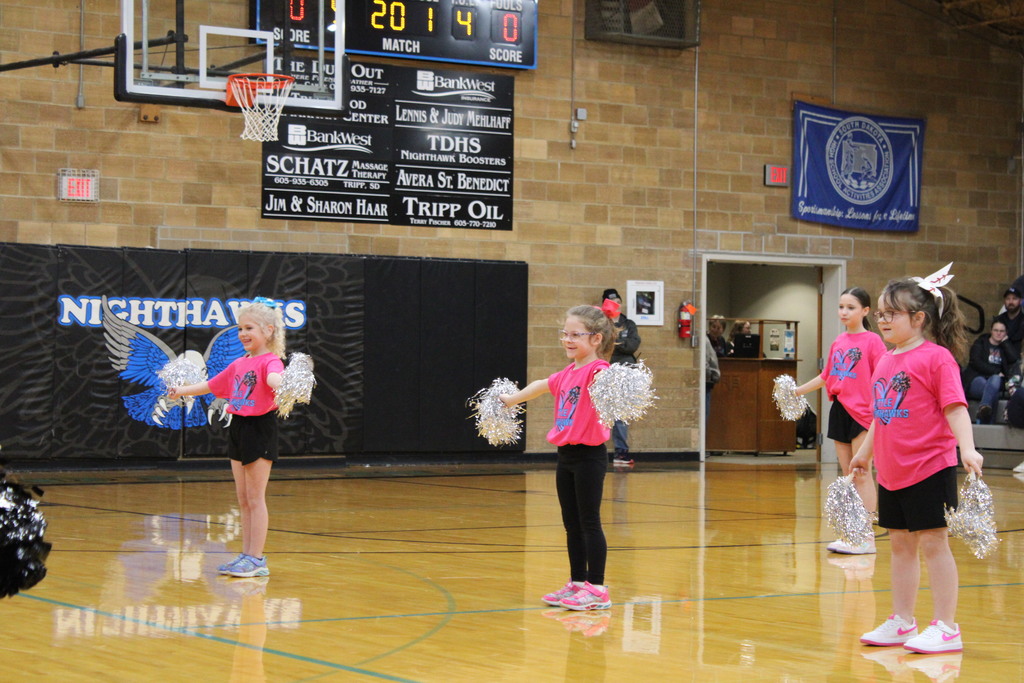 Little Nighthawk Cheer